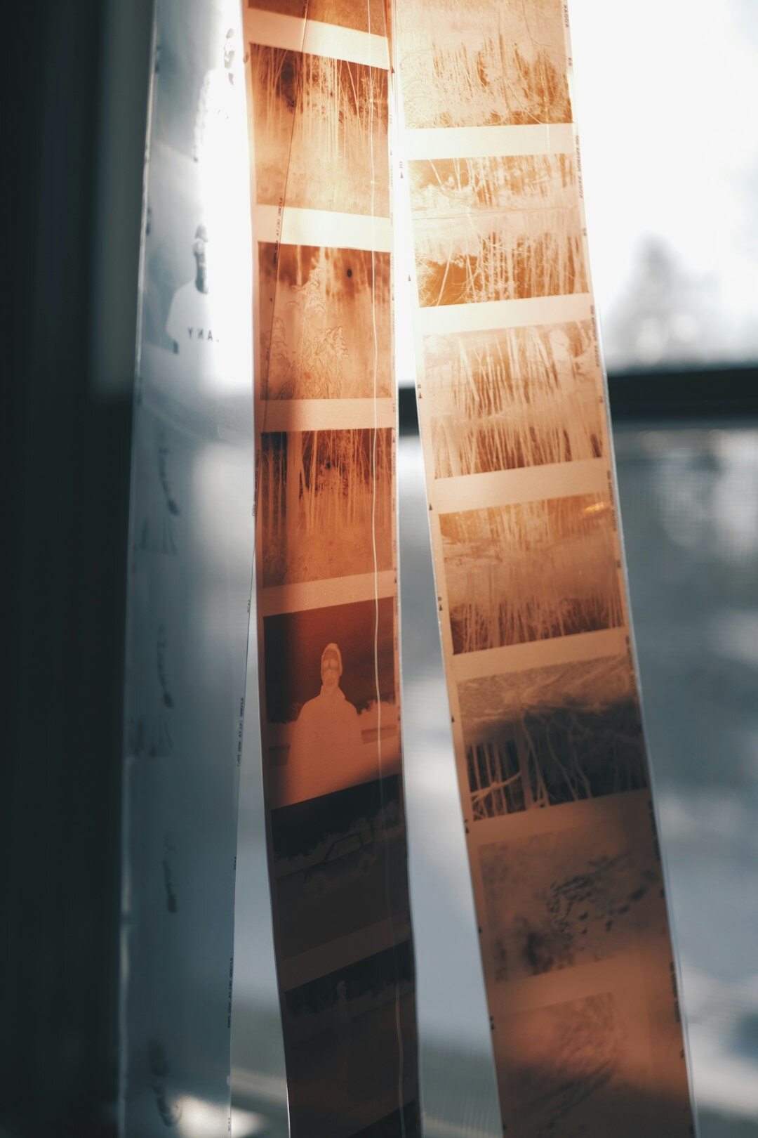 Film negatives and contact sheets spread on a light table